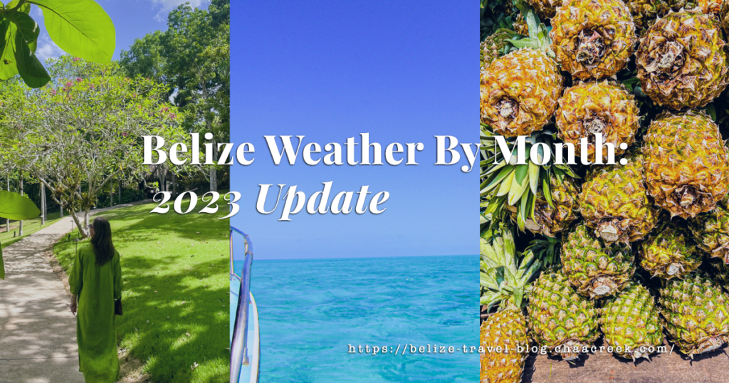belize weathe update 2023
