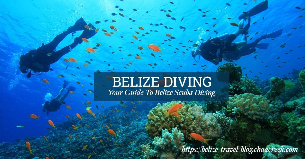 belize dive excursions