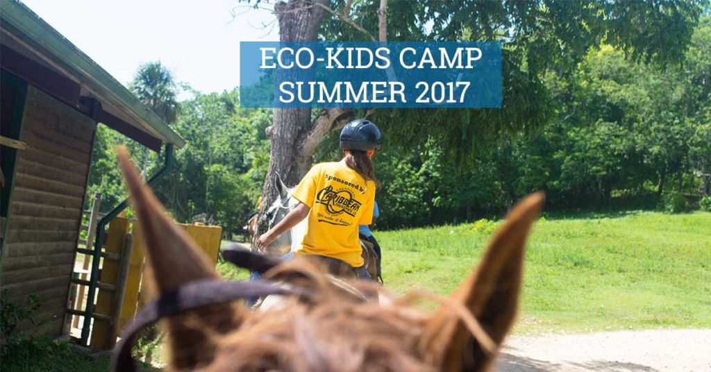 eco kids summer camp 2017