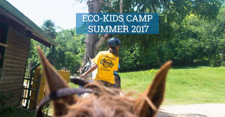 eco kids summer camp 2017