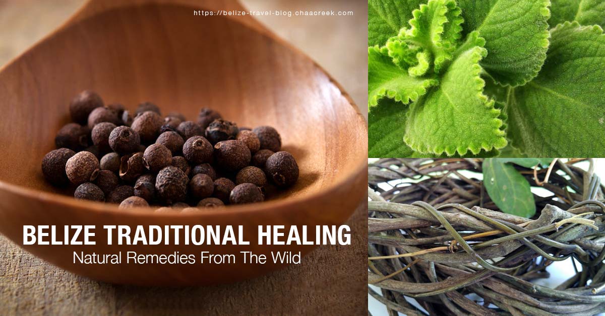 Belize Traditional Healing Natural Remedies From The Wild - 