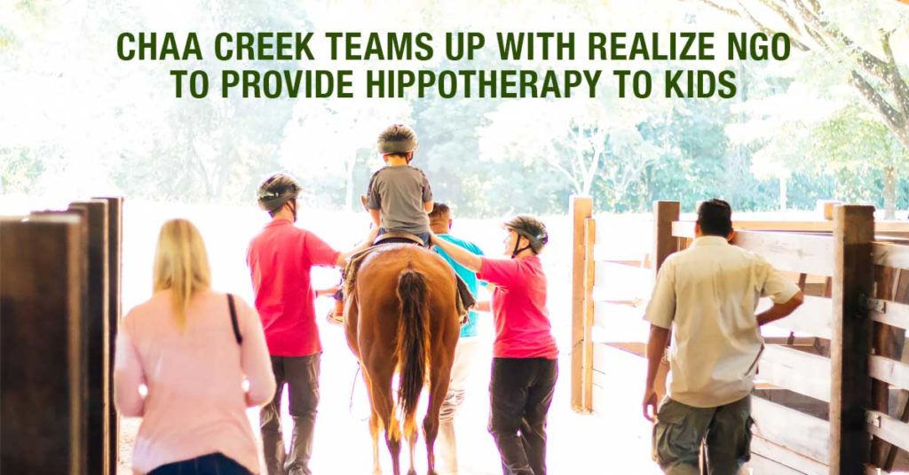 Belize Horseback Riding Hippotherapy at Chaa Creek Header