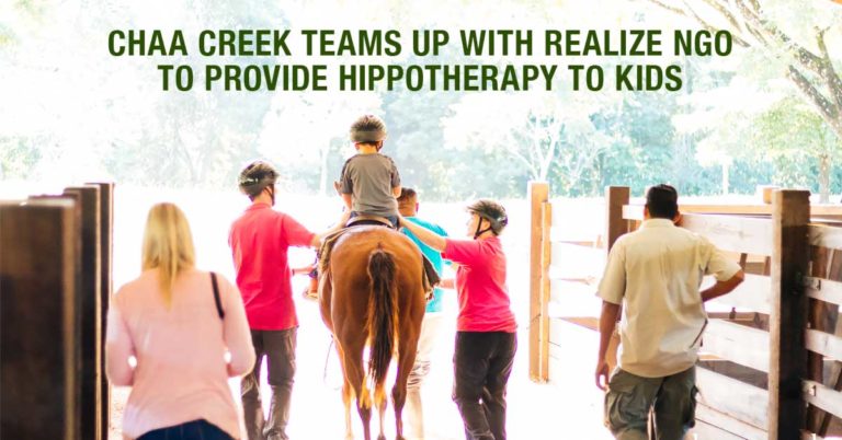 Belize Horseback Riding Hippotherapy at Chaa Creek Header