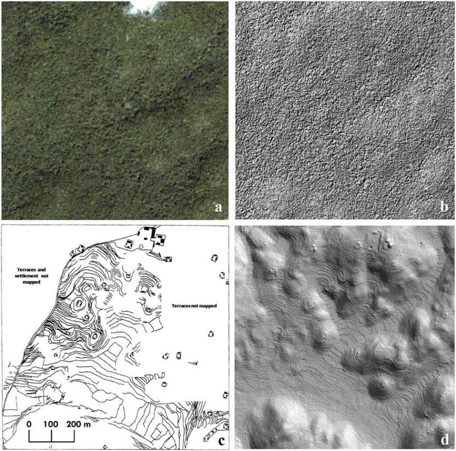 lasers reveal massive maya city in Belize