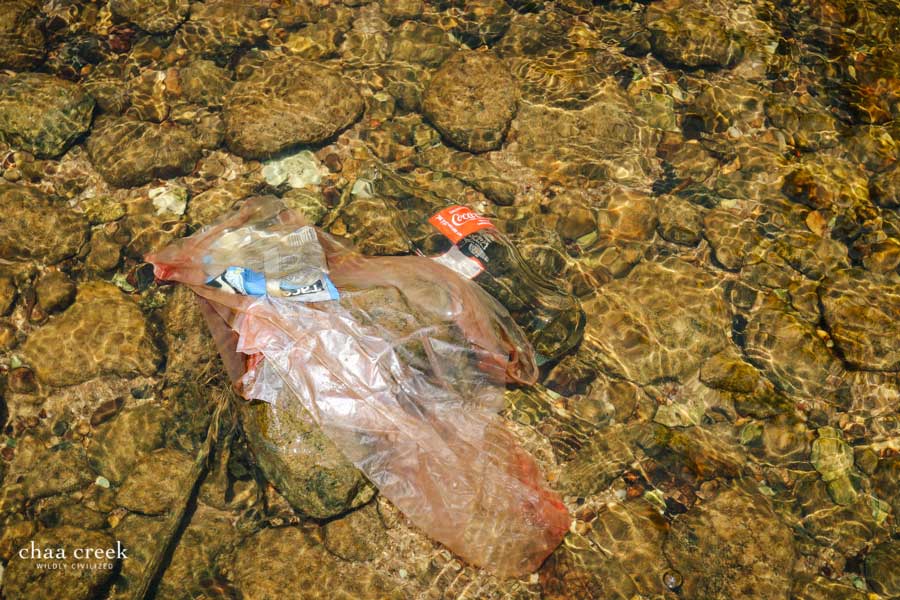 chaa creek belize river cleanup garbage in water