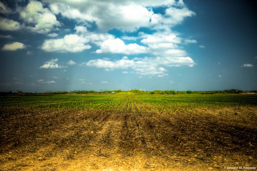 belize mennonite communities farming spanish lookout