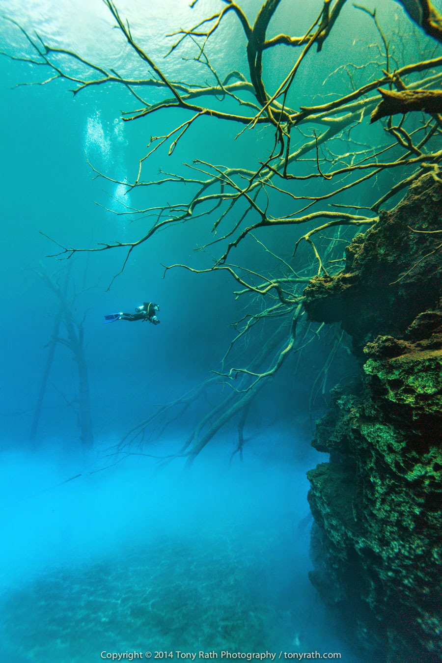belize cara blanca natural pools diving