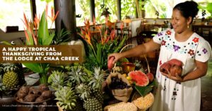Happy thanksgiving 2018 from Chaa Creek Belize Eco Lodge