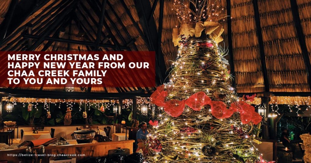 merry christmas happy new year 2019