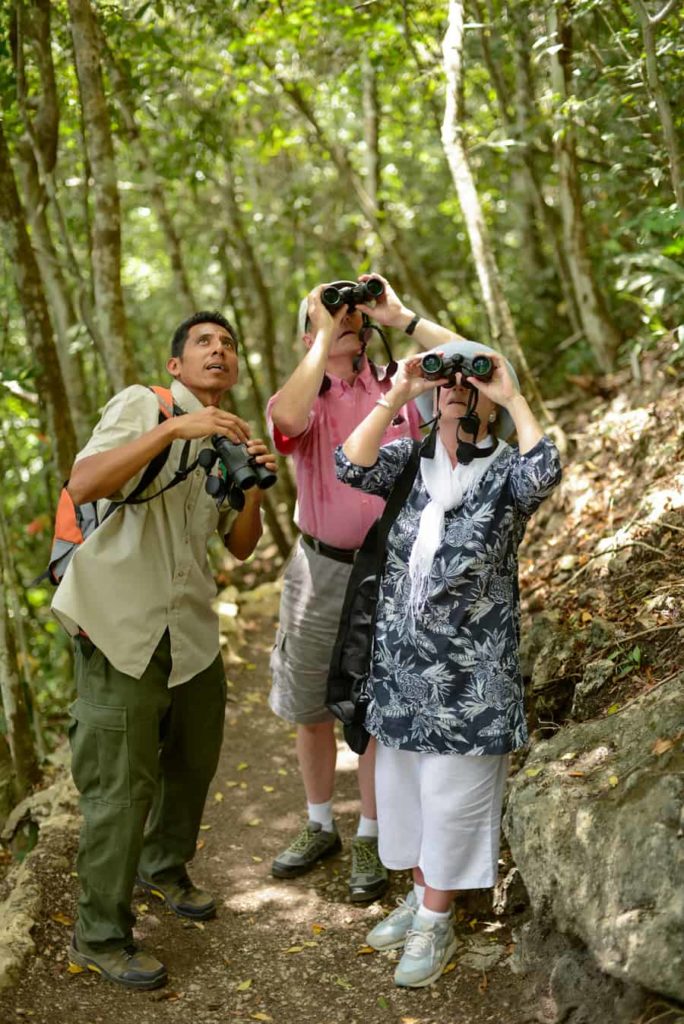 best belize birding tours at Chaa creek lodge