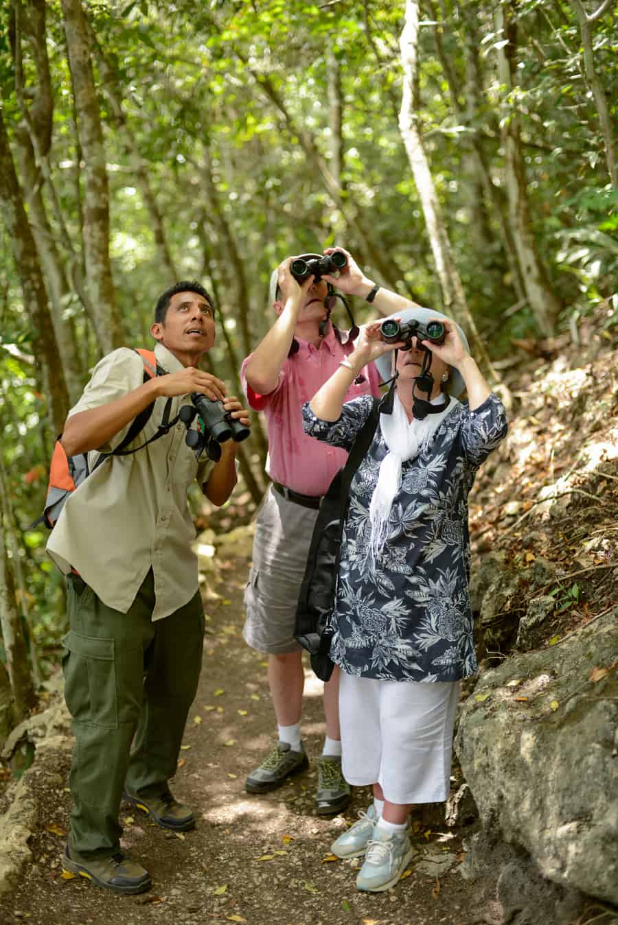 best belize birding tours at Chaa creek lodge