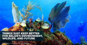 belize triple size protected marine area 2019