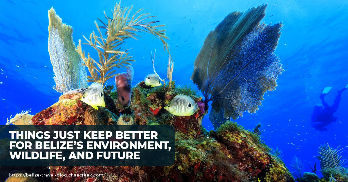 belize triple size protected marine area 2019