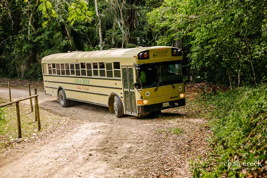 eco kids summer camp 2019 day 5 fun bus