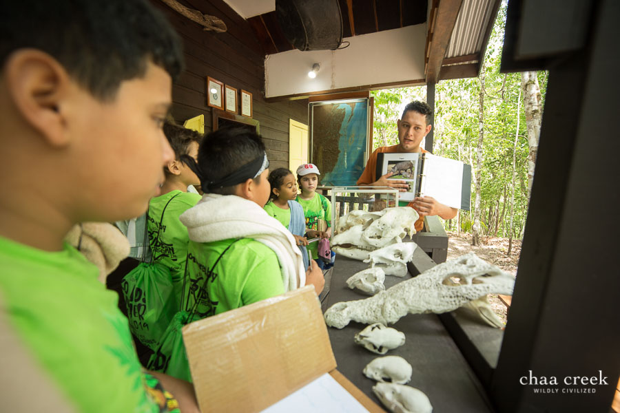 chaa creek eco kids summer camp day 2 natural history center