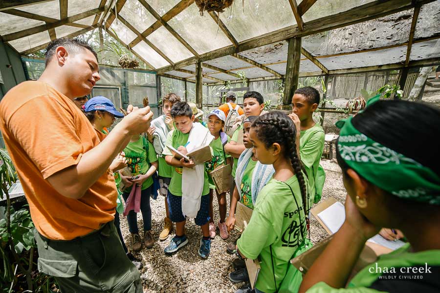 chaa creek eco kids day 2 butterfly farm