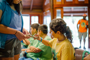 eco-kids-summer-camp-2019-day-7-14