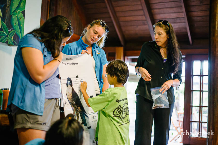 eco kids camp 2019 say 7 labeling falcon