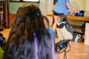 eco-kids-summer-camp-2019-day-7-20
