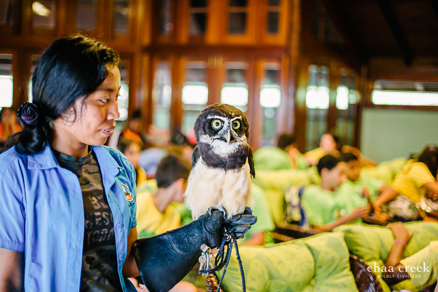 eco kids summer camp 2019 day 7 spectacle owl