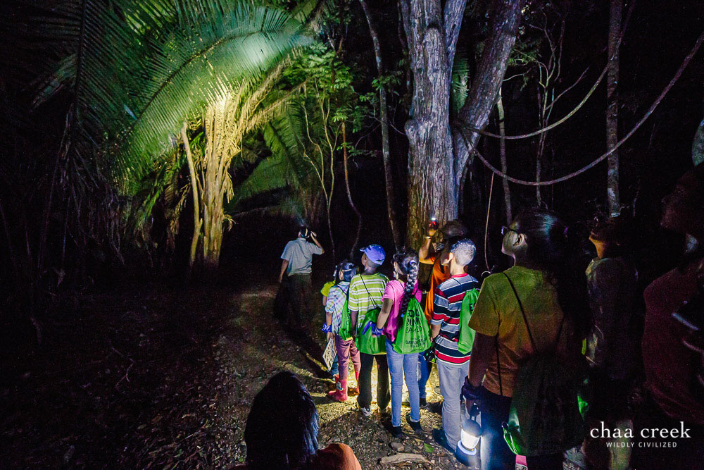 Eco Kids Summer Camp 2019 night hike trail