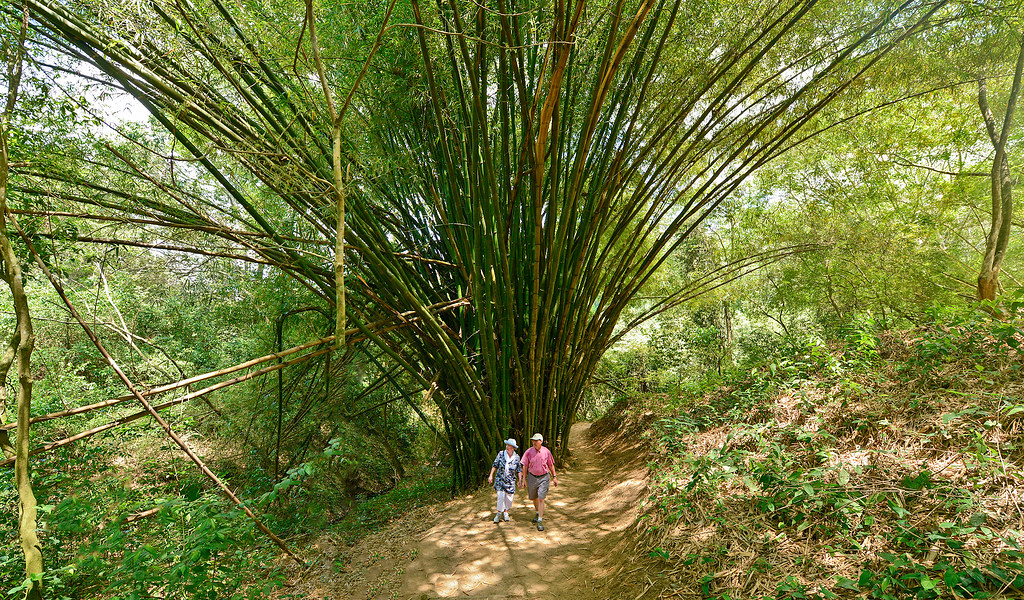 chaa creek healthy belize vacations hiking