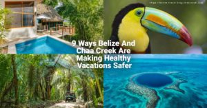belize btb goldstandards 9 point checklist