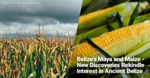 new Belize Maya maize discoveries unearthed