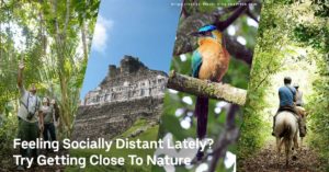 feeling socially distant try getting closer to nature at chaa creek belize resort