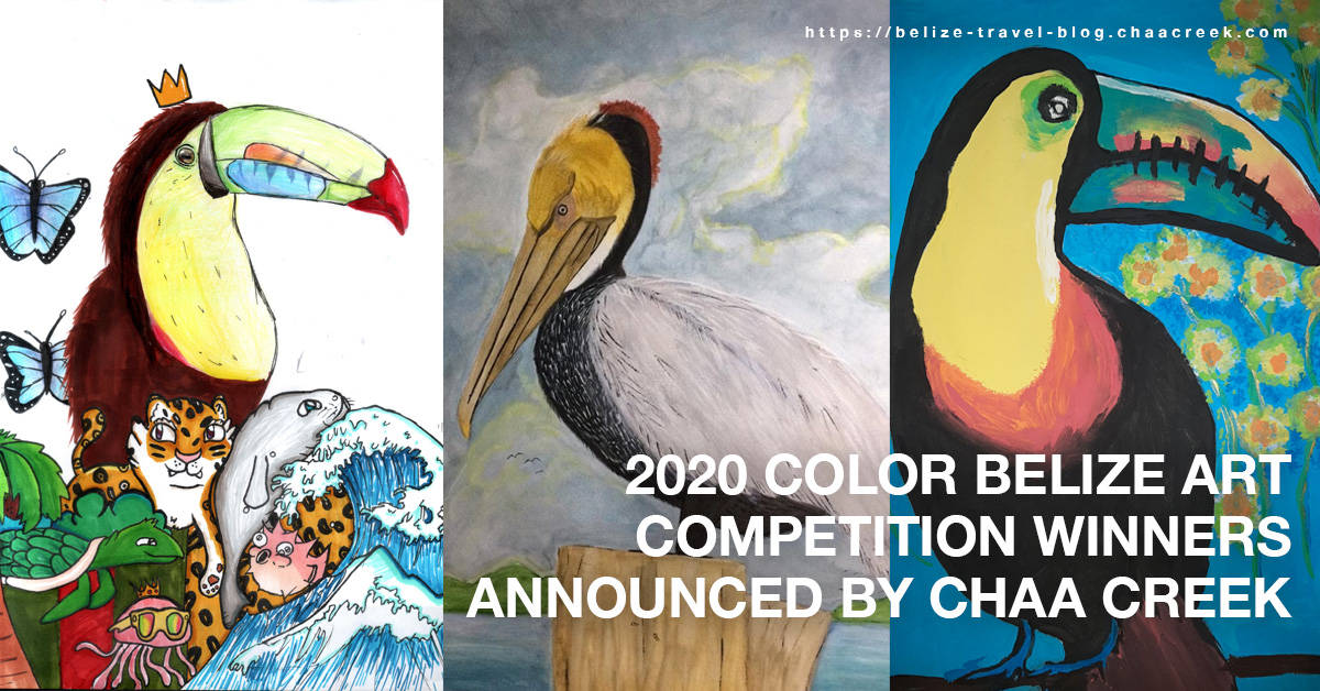 2020 Color Belize Art Competition Winners Announced