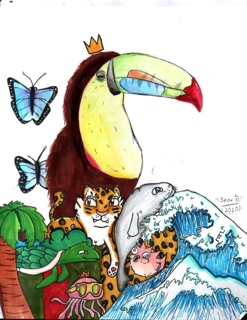 color belize art competition winner submission sean dueck