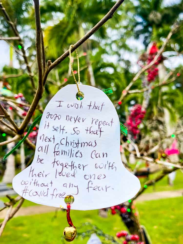 New Years wishes on chaa creek wishing tree 2021