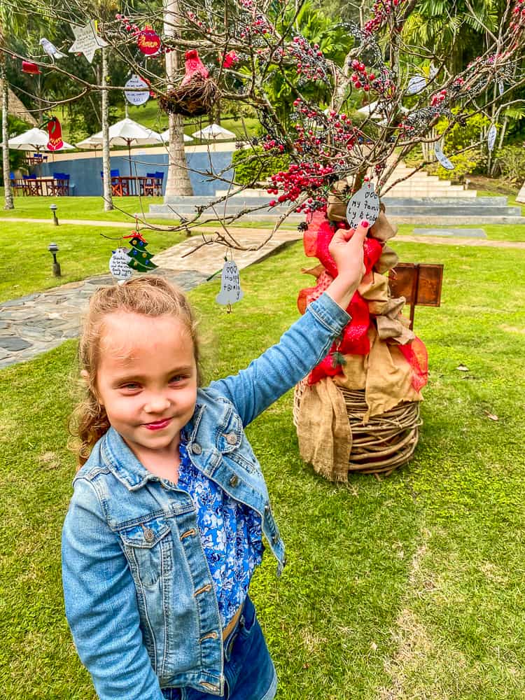 child guest with New Years wish on tree at chaa creek resort