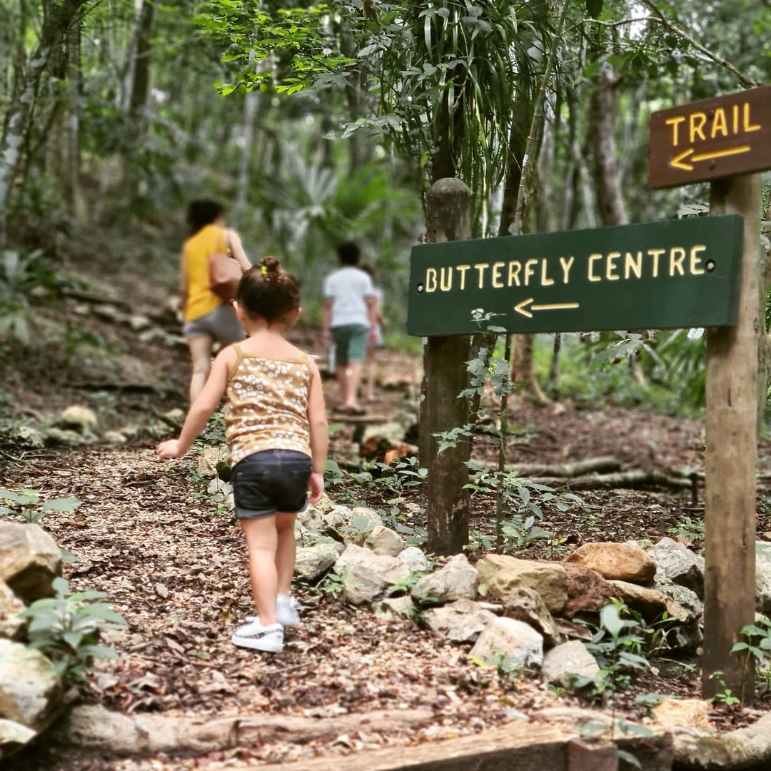belize with kids hiking at chaa creek resort