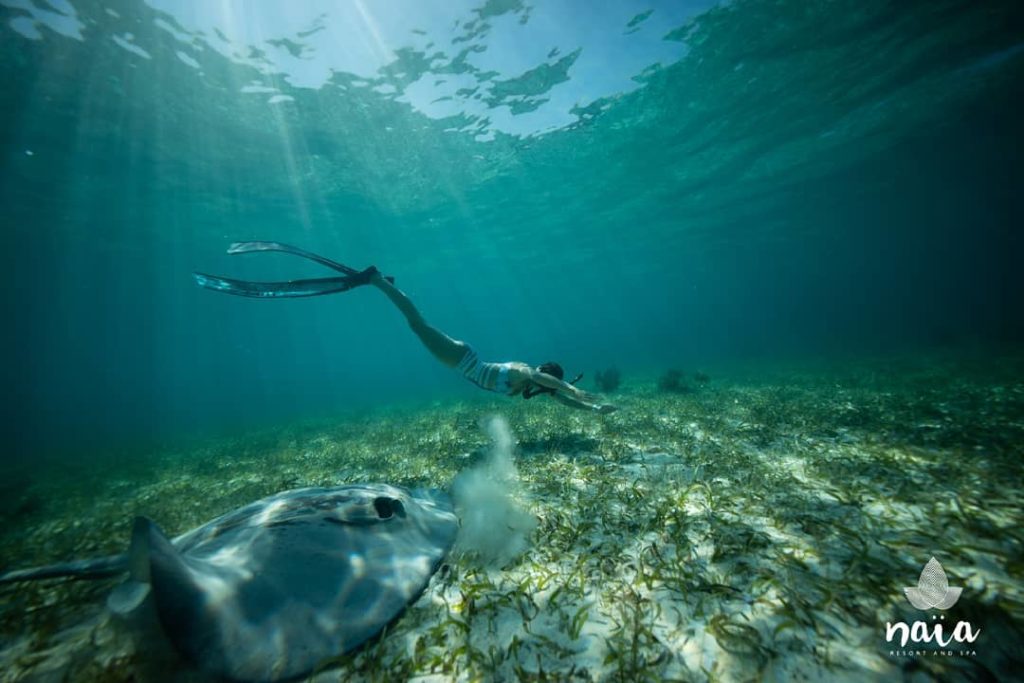 Belize snorkeling tour on southern cayes with Naia Resort