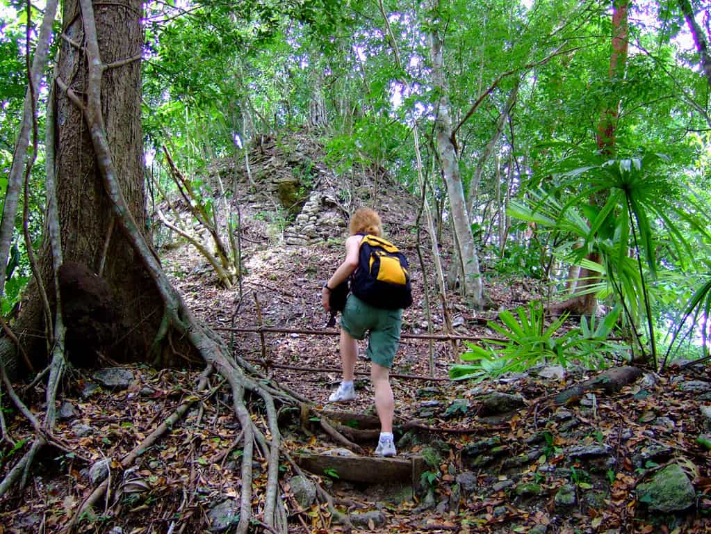 climbing up to el pilar mayan ruins in belize