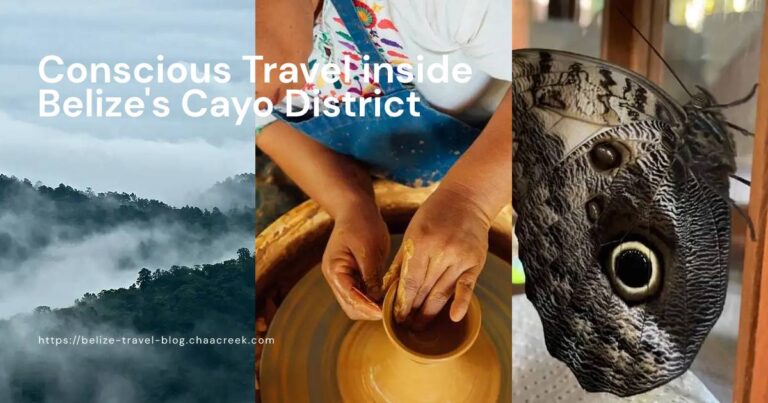 Conscious Travel inside Belize Cayo District featured image