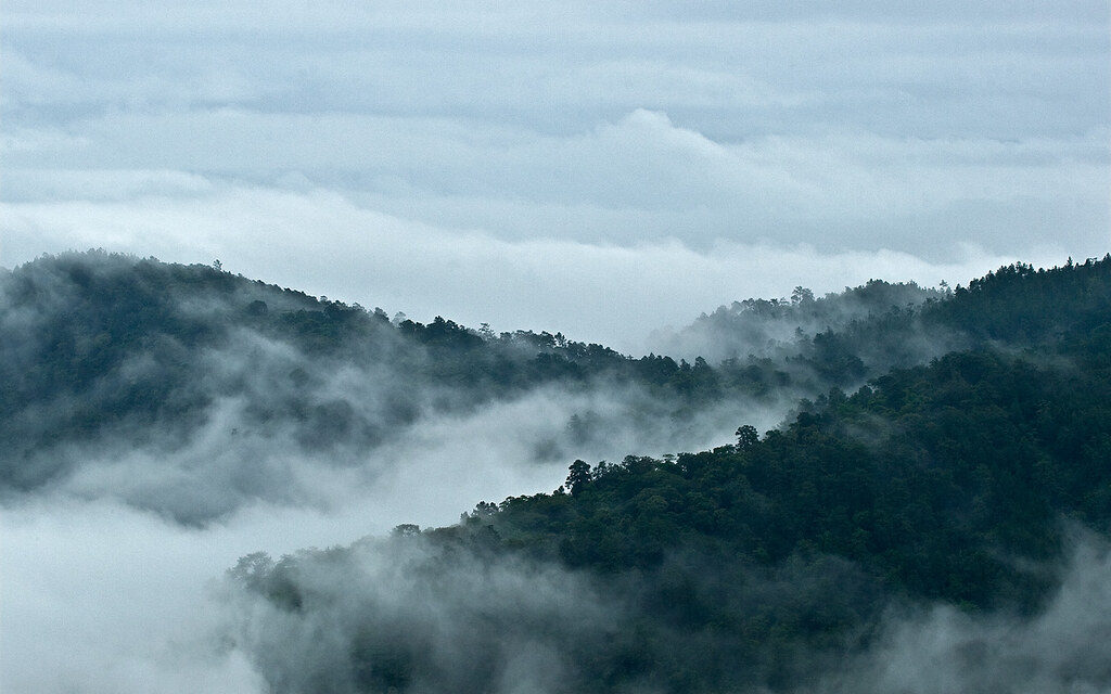maya mountain ridge in pine ridge rainforest reserve belize