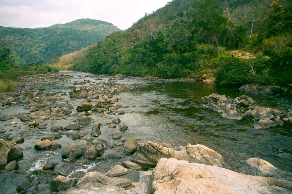 River inside the Elijio Panti National Park in Belize