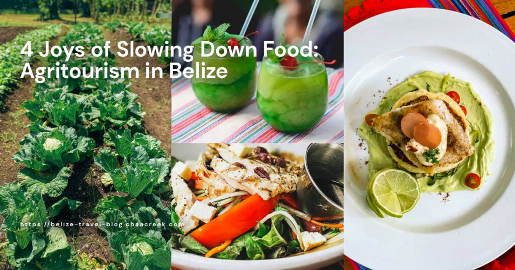 agritourism in belize slowing down food