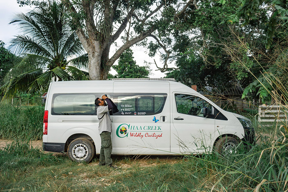 chaa creek birding guide birdwatching with binoculars near a chaa creek van