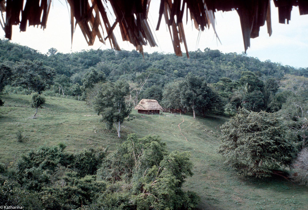 first cottage built at char creek resort in belize in 1981