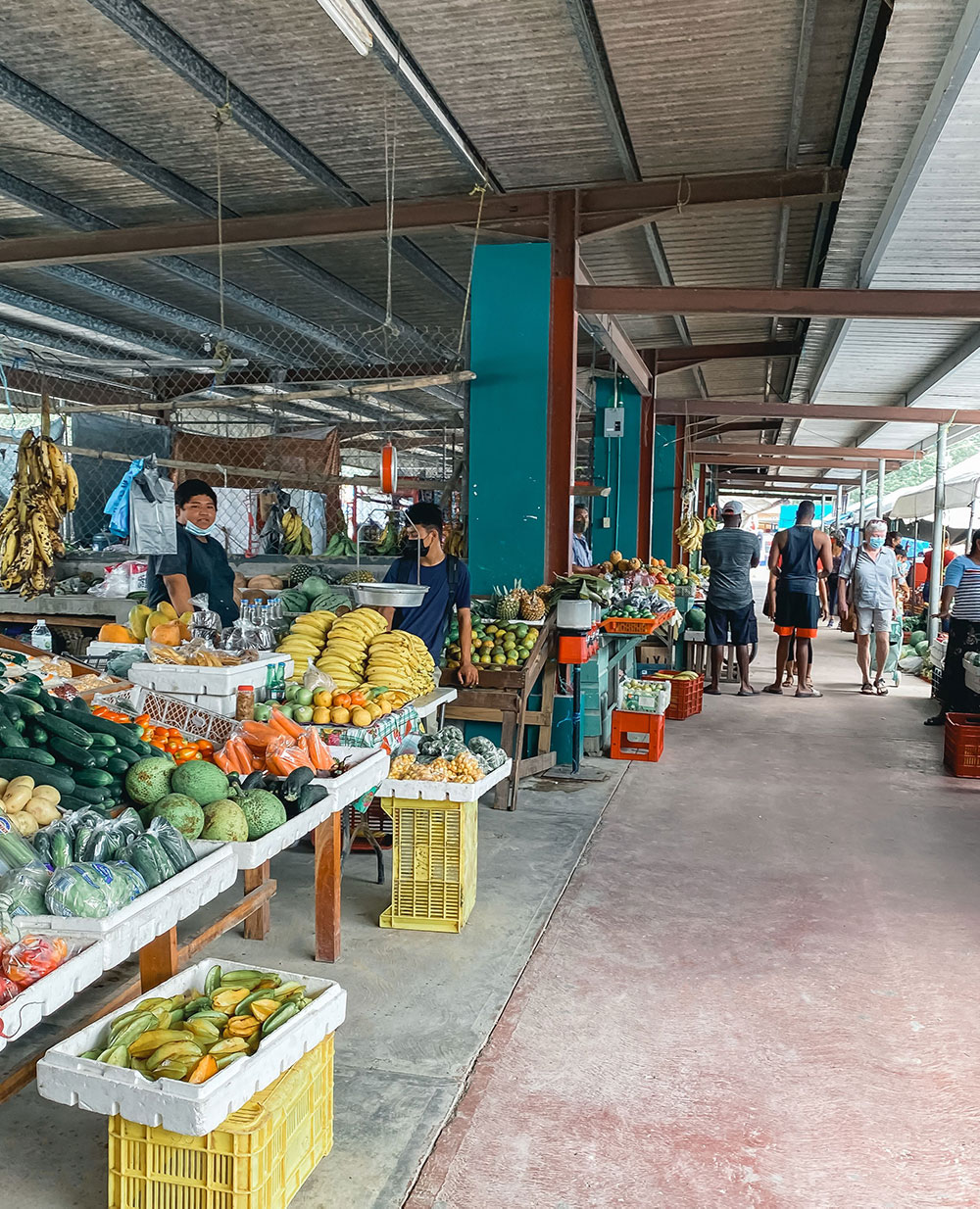 san ignacio farmers market fruit vendors