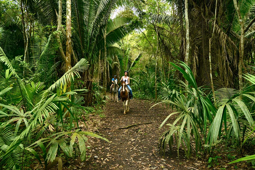 things to do in belize spring break 2022 horseback riding in jungle