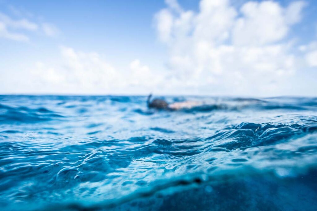snorkeling on a belize sailing vacation