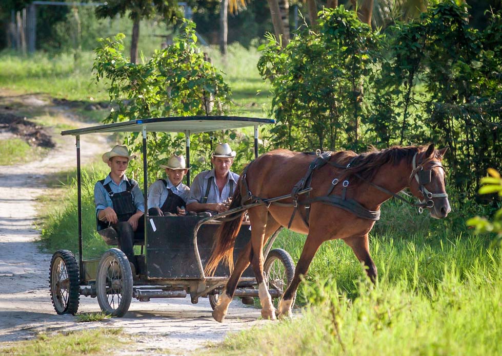 mennonites in belize for spring break 2022