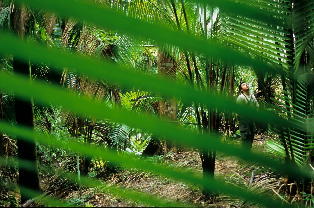 earth day 2022 reforestation at chaa creek