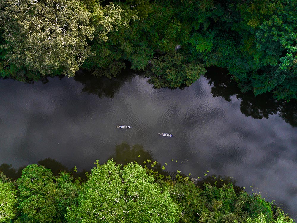 canoeing in the middle of the belizean jungle
