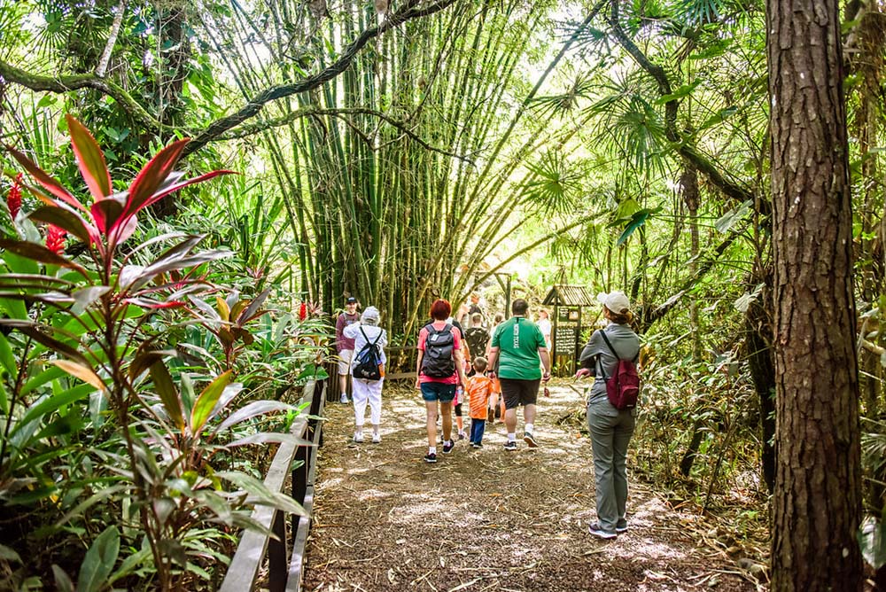 family walking the belize zoo