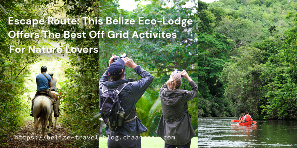 Escape Route: Eco-Lodges